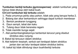 Tumbuhan berbiji terbuka (gymnospernae) adalah tumbuhan yang
bijinya tidak ditutup oleh bakal buah.
Ciri-ciri tumbuhan biji terbuka adalah:
1. Pada umumnya perdu atau pohon, tidak ada yang berupa herba 2.
2. Batang dan akar berkambium sehingga dapat tumbuh membesar
3. Bentuk perakaran tunggang
4. Daun sempit, tebal dan kaku
5. Tulang daun tidak beraneka ragam
6. Tidak memiliki bunga sejati
7. Alat perkembangbiakannya berbentuk kerucut yang disebut
strobilus atau runjung.
8. Bakal biji tersusun dalam strobilus
9. Alat kelamin terpisah, serbuk sari terdapat dalam strobilus
jantan dan sel telur terdapat dalam strobilus betina.
10. bakal biji tidak dilindungi daun buah/berbiji terbuka
 