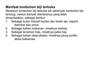 Manfaat tumbuhan biji terbuka
Meskipun tumbuhan biji terbuka tak sebanyak tumbuhan biji
tertutup, namun banyak diantaranya yang telah
dimanfaatkan, sebegai berikut:
1. Sebagai hutan industri kertas dan korek api, seperti
dammar dan pinus
2. Sebagai bahan makanan, misalnya melinjo
3. Sebagai tanaman hias, misalnya pakis haji
4. Sebagai bahan obat-obatan, misalnya pinus junifer,
abies balsamea.
 