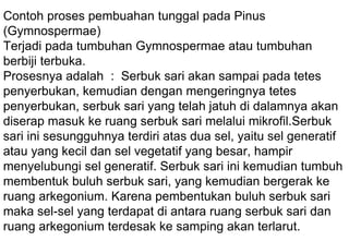 Contoh proses pembuahan tunggal pada Pinus
(Gymnospermae)
Terjadi pada tumbuhan Gymnospermae atau tumbuhan
berbiji terbuka.
Prosesnya adalah : Serbuk sari akan sampai pada tetes
penyerbukan, kemudian dengan mengeringnya tetes
penyerbukan, serbuk sari yang telah jatuh di dalamnya akan
diserap masuk ke ruang serbuk sari melalui mikrofil.Serbuk
sari ini sesungguhnya terdiri atas dua sel, yaitu sel generatif
atau yang kecil dan sel vegetatif yang besar, hampir
menyelubungi sel generatif. Serbuk sari ini kemudian tumbuh
membentuk buluh serbuk sari, yang kemudian bergerak ke
ruang arkegonium. Karena pembentukan buluh serbuk sari
maka sel-sel yang terdapat di antara ruang serbuk sari dan
ruang arkegonium terdesak ke samping akan terlarut.
 