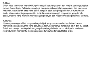 3. Daun
Daun pada tumbuhan memiliki fungsi sebagai alat penguapan dan tempat berlangsungnya
proses fotosintesis. Selain itu daun juga berperan sebagai alat pernapasan dan penyerap
matahari. Daun terdiri atas Helai daun, Tangkai daun dan pelepah daun. Struktur daun
terdiri atas epidermis yang memiliki kutikula untuk mencegah penguapan yang terlalu
besar, Mesofil yang memiliki kloroplas yang banyak dan Hipodermis yang memiliki stomata.
4. Bunga
Umumnya orang melihat bunga sebagai objek yang memperindah tumbuhan karena
memiliki bentuk dan warna yang bervariasi. Nah, sebenarnya fungsinya lebih dari itu sobat.
Salah satu fungsi penting dari bungan yaitu sebagai sistem reproduksi pada tumbuhan.
Reproduksi ini membantu menjaga spesies tumbuhan tersebut tetap eksis.
 