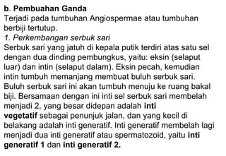 b. Pembuahan Ganda
Terjadi pada tumbuhan Angiospermae atau tumbuhan
berbiji tertutup.
1. Perkembangan serbuk sari
Serbuk sari yang jatuh di kepala putik terdiri atas satu sel
dengan dua dinding pembungkus, yaitu: eksin (selaput
luar) dan intin (selaput dalam). Eksin pecah, kemudian
intin tumbuh memanjang membuat buluh serbuk sari.
Buluh serbuk sari ini akan tumbuh menuju ke ruang bakal
biji. Bersamaan dengan ini inti sel serbuk sari membelah
menjadi 2, yang besar didepan adalah inti
vegetatif sebagai penunjuk jalan, dan yang kecil di
belakang adalah inti generatif. Inti generatif membelah lagi
menjadi dua inti generatif atau spermatozoid, yaitu inti
generatif 1 dan inti generatif 2.
 