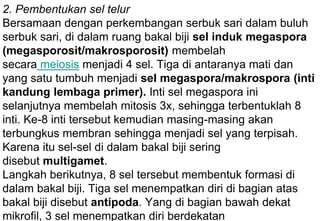 2. Pembentukan sel telur
Bersamaan dengan perkembangan serbuk sari dalam buluh
serbuk sari, di dalam ruang bakal biji sel induk megaspora
(megasporosit/makrosporosit) membelah
secara meiosis menjadi 4 sel. Tiga di antaranya mati dan
yang satu tumbuh menjadi sel megaspora/makrospora (inti
kandung lembaga primer). Inti sel megaspora ini
selanjutnya membelah mitosis 3x, sehingga terbentuklah 8
inti. Ke-8 inti tersebut kemudian masing-masing akan
terbungkus membran sehingga menjadi sel yang terpisah.
Karena itu sel-sel di dalam bakal biji sering
disebut multigamet.
Langkah berikutnya, 8 sel tersebut membentuk formasi di
dalam bakal biji. Tiga sel menempatkan diri di bagian atas
bakal biji disebut antipoda. Yang di bagian bawah dekat
mikrofil, 3 sel menempatkan diri berdekatan
 