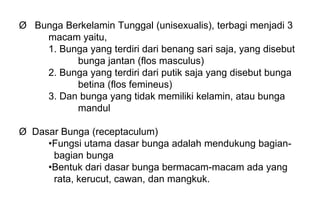 Ø Bunga Berkelamin Tunggal (unisexualis), terbagi menjadi 3
macam yaitu,
1. Bunga yang terdiri dari benang sari saja, yang disebut
bunga jantan (flos masculus)
2. Bunga yang terdiri dari putik saja yang disebut bunga
betina (flos femineus)
3. Dan bunga yang tidak memiliki kelamin, atau bunga
mandul
Ø Dasar Bunga (receptaculum)
•Fungsi utama dasar bunga adalah mendukung bagian-
bagian bunga
•Bentuk dari dasar bunga bermacam-macam ada yang
rata, kerucut, cawan, dan mangkuk.
 