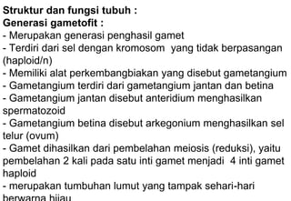 Struktur dan fungsi tubuh :
Generasi gametofit :
- Merupakan generasi penghasil gamet
- Terdiri dari sel dengan kromosom yang tidak berpasangan
(haploid/n)
- Memiliki alat perkembangbiakan yang disebut gametangium
- Gametangium terdiri dari gametangium jantan dan betina
- Gametangium jantan disebut anteridium menghasilkan
spermatozoid
- Gametangium betina disebut arkegonium menghasilkan sel
telur (ovum)
- Gamet dihasilkan dari pembelahan meiosis (reduksi), yaitu
pembelahan 2 kali pada satu inti gamet menjadi 4 inti gamet
haploid
- merupakan tumbuhan lumut yang tampak sehari-hari
 