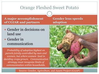 Gender and a food secure future: What do we need to know? What do we need to do?