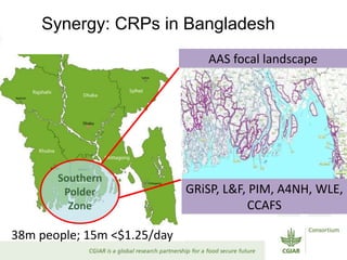 Reduced rural poverty system-level outcome: Progress, achievements, results