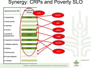 Reduced rural poverty system-level outcome: Progress, achievements, results