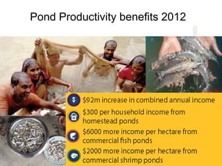 Reduced rural poverty system-level outcome: Progress, achievements, results