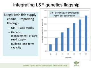Reduced rural poverty system-level outcome: Progress, achievements, results