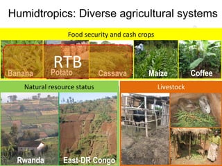 Reduced rural poverty system-level outcome: Progress, achievements, results