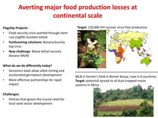 Food security system-level outcome: Progress, achievements, results