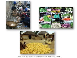 Improved nutrition and health system-level outcome: Progress, achievements, results