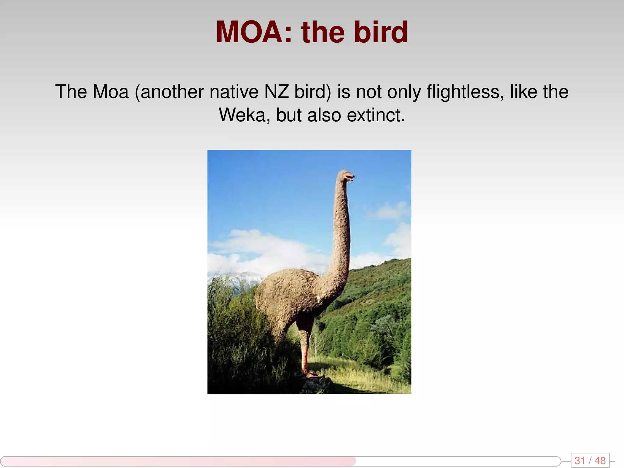 MOA: the bird The Moa (another native NZ bird) is not only ﬂightless, like the Weka, but also extinct. 31 / 48 