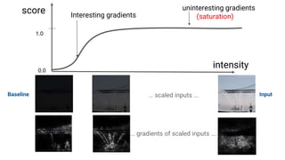 score
intensity
Interesting gradients
uninteresting gradients
(saturation)
1.0
0.0
Baseline … scaled inputs ...
… gradients of scaled inputs ….
Input
 