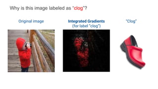 Original image Integrated Gradients
(for label “clog”)
“Clog”
Why is this image labeled as “clog”?
 