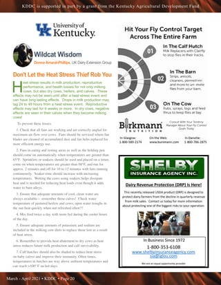 March - April 2021 • KDDC • Page 20
KDDC is supported in part by a grant from the Kentucky Agricultural Development Fund
Wildcat Wisdom
Donna Amaral-Phillips, UK Dairy Extension Group
Don't Let the Heat Stress Thief Rob You
H
eat stress results in milk production, reproductive
performance, and health losses for not only milking
cows, but also dry cows, heifers, and calves. These
effects may not be seen until after a heat stress event and
can have long lasting effects. Drops in milk production may
lag 24 to 48 hours from a heat stress event. Reproductive
effects may last for 6 weeks or more. In dry cows, negative
effects are seen in their calves when they become milking
cows!
To prevent these losses:
1. Check that all fans are working and are correctly angled for
maximum air flow over cows. Fans should be serviced where fan
blades are cleaned of accumulated dust and fan belts replaced for
more efficient energy use.
2. Fans in eating and resting areas as well as the holding pen
should come on automatically when temperatures are greater than
65°F. Sprinklers or soakers should be used and placed on a timer,
come on when temperatures are greater than 68°F, and run for
approx. 2 minutes and off for 10 to 12 minutes with fans running
continuously. Soaker time should increase with increasing
temperatures. Wetting the cows using soakers helps dissipate
heat and is needed for reducing heat loads even though it adds
water to barn alleys.
3. Ensure that adequate amounts of cool, clean water are
always available— remember those calves! Check water
temperature of pastured heifers and cows; open water troughs in
the sun heat quickly when not refreshed often!!!
4. Mix feed twice a day with more fed during the cooler hours
of the day.
5. Ensure adequate amounts of potassium and sodium are
included in the milking cow diets to replace those lost as a result
of heat stress.
6. Remember to provide heat abatement to dry cows as heat
stress reduces future milk production and calf survivability.
7. Calf hutches should also be shaded to reduce heat stress
on baby calves and improve their immunity. Often times,
temperatures in hutches are way above ambient temperatures and
can reach 100º F on hot days.
Dairy Revenue Protection (DRP) Is Here!
This recently released USDA product (DRP) is designed to
protect dairy farmers from the decline in quarterly revenue
from milk sales. Contact us today for more information
about protecting one of the biggest risks to your operation.
In Business Since 1972
1-800-353-6108
www.shelbyinsuranceagency.com
sia@iglou.com
We are an equal opportunity provider
 