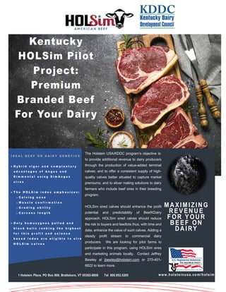 • I D E A L B E E F O N D A I R Y G E N E T I C S
• H y b r i d v i g o r a n d c o m p l e n t a r y
a d v a n t a g e s o f A n g u s a n d
S i m m e n t a l u s i n g S i m A n g u s
s i r e s
•
• T h e H O L S i m i n d e x e m p h a s i z e s :
o C a l v i n g e a s e
o M u s c l e c o n f i r m a t i o n
o G r a d i n g a b i l i t y
o C a r c a s s l e n g t h
• O n l y h o m o z y g o u s p o l l e d a n d
b l a c k b u l l s r a n k i n g t h e h i g h e s t
f o r t h i s p r o f i t a n d s c i e n c e
b a s e d i n d e x a r e e l i g i b l e t o s i r e
H O L S i m c a l v e s
MA XIMIZIN G
R EVEN U E
F OR YOU R
B EEF ON
DAI RY
The Holstein USA/KDDC program’s objective is:
to provide additional revenue to dairy producers
through the production of value-added terminal
calves; and to offer a consistent supply of high-
quality calves better situated to capture market
premiums; and to eliver mating solutions to dairy
farmers who include beef sires in their breeding
program.
HOLSim sired calves should enhance the profit
potential and predictability of BeefXDairy
approach. HOLSim sired calves should reduce
the risk to buyers and feedlots thus, with time and
data, enhance the value of such calves. Adding a
steady profit stream to commercial dairy
producers. We are looking for pilot farms to
participate in this program, using HOLSim sires
and marketing animals locally. Contact Jeffrey
Bewley at jbewley@holstein.com or 270-401-
8822 to learn more.
www.holsteinusa.com/holsim
1 Holstein Place, PO Box 808, Bratleboro, VT 05302-0808 Tel 800.952.5200
Kentucky
HOLSim Pilot
Project:
Premium
Branded Beef
For Your Dairy
 