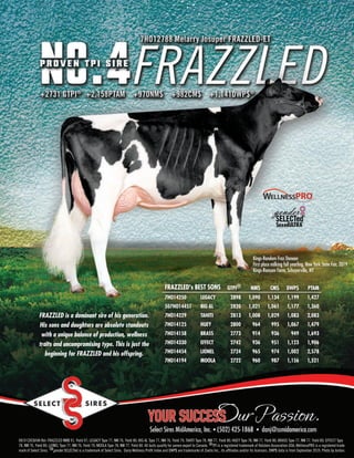 FRAZZLED is a dominant sire of his generation.
His sons and daughters are absolute standouts
with a unique balance of production, wellness
traits and uncompromising type. This is just the
beginning for FRAZZLED and his offspring.
Kings-Random Fraz Daneen
First place milking fall yearling, New York State Fair, 2019
Kings-Ransom Farm, Schuyerville, NY
0819 CDCB/HA Rel: FRAZZLED NM$ 91, Yield 97; LEGACY Type 77, NM 76, Yield 80; BIG AL Type 77, NM 76, Yield 79; TAHITI Type 78, NM 77, Yield 80; HUEY Type 78, NM 77, Yield 80; BRASS Type 77, NM 77, Yield 80; EFFECT Type
78, NM 76, Yield 80; LIONEL Type 77, NM 76, Yield 79; MOOLA Type 78, NM 77, Yield 80. All bulls qualify for semen export to Canada. ®TPI is a registered trademark of Holstein Association USA; WellnessPRO is a registered trade-
mark of Select Sires. TMgender SELECTed is a trademark of Select Sires. Dairy Wellness Profit Index and DWP$ are trademarks of Zoetis Inc., its affiliates and/or its licensors. DWP$ data is from September 2019. Photo by Jordan.
FRAZZLED's BEST SONS GTPI® NM$ CM$ DWP$ PTAM
7HO14250 LEGACY 2898 1,090 1,134 1,199 1,427
507HO14451 BIG AL 2820 1,021 1,061 1,177 1,360
7HO14229 TAHITI 2813 1,008 1,029 1,083 2,083
7HO14125 HUEY 2800 964 995 1,067 1,479
7HO14158 BRASS 2773 914 936 949 1,693
7HO14330 EFFECT 2742 936 951 1,123 1,906
7HO14454 LIONEL 2724 965 974 1,002 2,578
7HO14194 MOOLA 2722 960 987 1,156 1,521
 