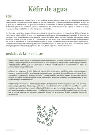 kamidedeus Robert Ruiz
10
El kéfir de agua o también llamado tibicos es un cultivo bacteriano (bacterias ácido lácticas y levaduras) que se utiliza
para fermentar cualquier líquido que sea rico en hidratos de carbono. Es esencial mencionar que el kéfir de agua no
es igual que el kéfir de leche. Al igual que el SCOBY de la kombucha, el kéfir de agua también realiza una simbiosis
de bacterias y levaduras para llevar a cabo la fermentación del líquido azucarado. Su aspecto es similar al de arroz
hervido, son pequeñas bolitas de color blanquecino translúcidas.
En referencia a su origen los especialistas comentan diversas versiones, según el etnobotánico William Litzinger se
estima que el origen del kéfir de agua es de México asegurando que el kéfir de agua se genera debajo de la piel de los
frutos del cactus, específicamente el de la especie Opuntia. En 1899 la revista Journal of the Royal Microscopical Society
publicó un informe en el que el autor M.L.Lutz describe las características de los tibicos y la función de fermentación
por lo que se deduce que se los trajeron desde su país de origen y que estos empezaron a difundirse y propagarse.
Existe otra versión de que el kéfir de agua es suizo como se menciona en el libro de Life of Yeast. La versión más común
del origen aparte de México es que proviene del Tibet, de allí procederia el nombre de tíbicos.
Kéfir de agua
kéfir
nódulos de kéfir o tíbicos
Los nódulos de kéfir o tíbicos es el nombre con el que se denomina el cultivo bacteriano que en apariencia se
asemeja a pequeños granos de arroz hinchado de un color blanquecino transparente. Los tíbicos popularmente
conocidos como kéfir de agua, son una mezcla de bacterias y levaduras que se encuentran en una matriz de
polisacáridos creada por bacterias.
Así como con los granos de kéfir (búlgaros), los microbios presentes en los tibicos actúan en simbiosis para
mantener un cultivo estable, semejantes a masas gelatinosas compactas de color blanquecino o amarillento,
translúcidas u opalescentes de forma irregular y tamaño variable. Los tibicos pueden fermentar en diversos
líquidos azucarados, alimentándose del azúcar para producir ácido láctico, etanol y dióxido de carbono, lo que
hace que el agua esté carbonatada.
Los tíbicos típicos tienen una mezcla de Lactobacilos, Estreptococos, Pediococos y Leuconostoc con levaduras
Saccharomyces, Candida, Kloeckera y posiblemente otras. El Lactobacillus brevis ha sido identificado como la
especie responsable de la producción del polisacárido dextrano que forma los granos y que está dispuestos en
dos capas. La capa externa es compacta y en ella se encuentran en simbiosis bacterias y levaduras, mientras
que la interna presenta una estructura esponjosa debido a la acumulación de CO2 producido durante la
fermentación.
 