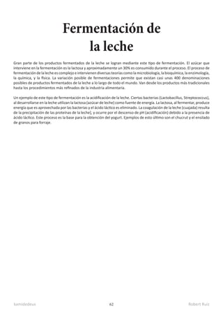 kamidedeus Robert Ruiz
62
Gran parte de los productos fermentados de la leche se logran mediante este tipo de fermentación. El azúcar que
interviene en la fermentación es la lactosa y aproximadamente un 30% es consumido durante el proceso. El proceso de
fermentacióndelalecheescomplejoeintervienendiversasteoríascomolamicrobiología,labioquímica,laenzimología,
la química, y la física. La variación posible de fermentaciones permite que existan casi unas 400 denominaciones
posibles de productos fermentados de la leche a lo largo de todo el mundo. Van desde los productos más tradicionales
hasta los procedimientos más refinados de la industria alimentaria.
Un ejemplo de este tipo de fermentación es la acidificación de la leche. Ciertas bacterias (Lactobacillus, Streptococcus),
al desarrollarse en la leche utilizan la lactosa (azúcar de leche) como fuente de energía. La lactosa, al fermentar, produce
energía que es aprovechada por las bacterias y el ácido láctico es eliminado. La coagulación de la leche (cuajada) resulta
de la precipitación de las proteínas de la leche], y ocurre por el descenso de pH (acidificación) debido a la presencia de
ácido láctico. Este proceso es la base para la obtención del yogurt. Ejemplos de esto último son el chucrut y el ensilado
de granos para forraje.
Fermentación de
la leche
 