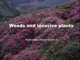 Weeds and invasive plants
Katharina Dehnen-Schmutz
 