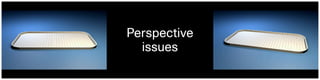Perspective
issues
 