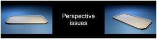 Perspective
issues
 