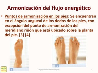 Armonización del flujo energético
• Puntos de armonización en los pies: Se encuentran
en el ángulo ungueal de los dedos de los pies, con
excepción del punto de armonización del
meridiano riñón que está ubicado sobre la planta
del pie. [3] [4]
12Digitopuntura, Dr.Franz Wagner
 