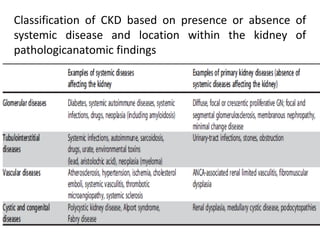 Classification of CKD based on presence or absence of
systemic disease and location within the kidney of
pathologicanatomic findings
 