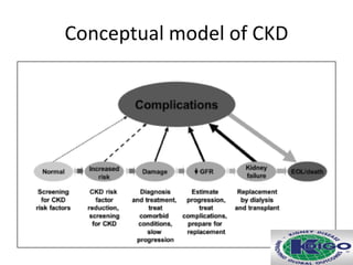Conceptual model of CKD
 