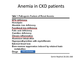 Anemia in CKD patients
Semin Nephrol 26:261-268
RAS blockade
 