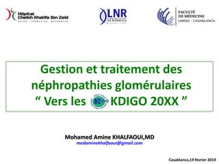 Casablanca,19 février 2019
Mohamed Amine KHALFAOUI,MD
medaminekhalfaoui@gmail.com
Gestion et traitement des
néphropathies glomérulaires
“ Vers les KDIGO 20XX ”
 
