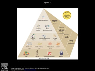 Nefrologia guias KDIGO 2022 Clinical Practice Guideline for Diabetes ...