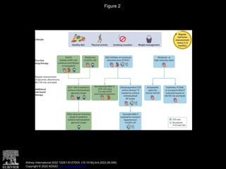 Nefrologia guias KDIGO 2022 Clinical Practice Guideline for Diabetes ...