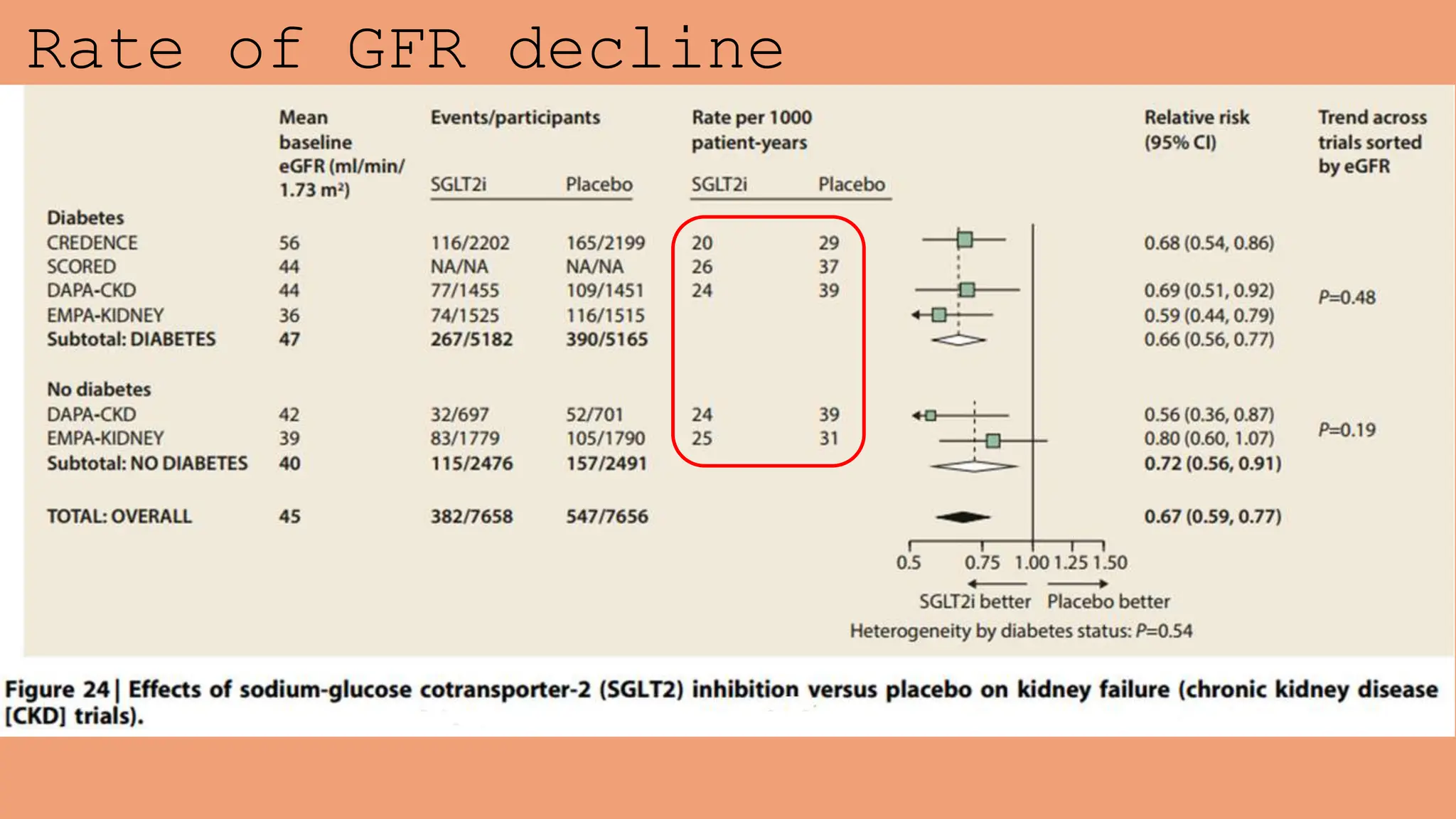 Rate of GFR decline
 
