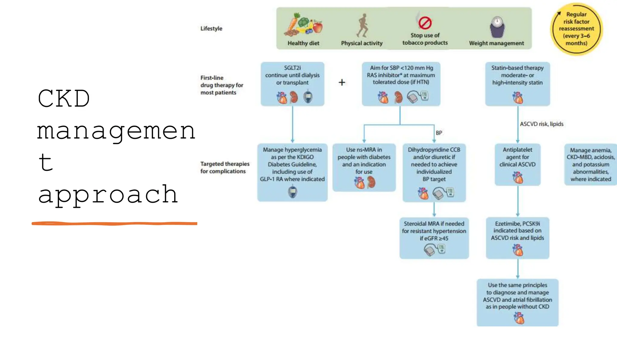 CKD
managemen
t
approach
 