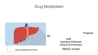 Drug Metabolism
Prepared
By:
Aditi
Assistant Professor
School of Pharmacy
MMUS, AmbalaDrug metabolism and liver
 