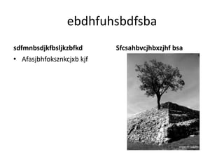 ebdhfuhsbdfsba
sdfmnbsdjkfbsljkzbfkd      Sfcsahbvcjhbxzjhf bsa
• Afasjbhfoksznkcjxb kjf
 