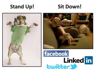 Stand Up! Sit Down!
 