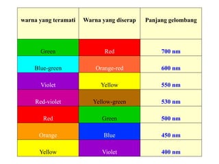 warna yang teramati Warna yang diserap Panjang gelombang
Green Red 700 nm
Blue-green Orange-red 600 nm
Violet Yellow 550 nm
Red-violet Yellow-green 530 nm
Red Green 500 nm
Orange Blue 450 nm
Yellow Violet 400 nm
 