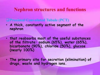 Nephron structures and functions

Proximal Convoluted Tubule (PCT)
• A thick, constantly active segment of the
  nephron

• that reabsorbs most of the useful substances
  of the filtrate: sodium (65%), water (65%),
  bicarbonate (90%), chloride (50%), glucose
  (nearly 100%)

• The primary site for secretion (elimination) of
  drugs, waste and hydrogen ions.
 