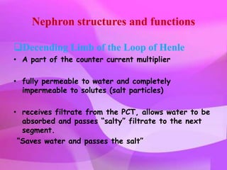 Nephron structures and functions

Decending Limb of the Loop of Henle
• A part of the counter current multiplier

• fully permeable to water and completely
  impermeable to solutes (salt particles)

• receives filtrate from the PCT, allows water to be
  absorbed and passes “salty” filtrate to the next
  segment.
 “Saves water and passes the salt”
 
