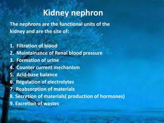 Kidney nephron
The nephrons are the functional units of the
kidney and are the site of:

1. Filtration of blood
2. Maintainance of Renal blood pressure
3. Formation of urine
4. Counter current mechanism
5. Acid-base balance
6. Regulation of electrolytes
7. Reabsorption of materials
8. Secretion of materials( production of hormones)
9. Excretion of wastes
 