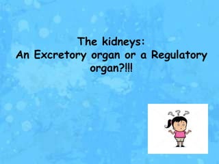 The kidneys:
An Excretory organ or a Regulatory
             organ?!!!
 