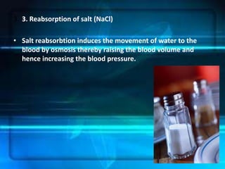3. 3. Reabsorption of salt (NaCl)

• Salt reabsorbtion induces the movement of water to the
  blood by osmosis thereby raising the blood volume and
  hence increasing the blood pressure.
 