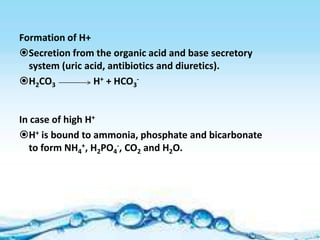 Formation of H+
Secretion from the organic acid and base secretory
  system (uric acid, antibiotics and diuretics).
H2CO3           H+ + HCO3-


In case of high H+
H+ is bound to ammonia, phosphate and bicarbonate
  to form NH4+, H2PO4-, CO2 and H2O.
 