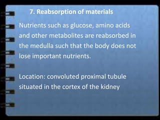 7. Reabsorption of materials
Nutrients such as glucose, amino acids
and other metabolites are reabsorbed in
the medulla such that the body does not
lose important nutrients.

Location: convoluted proximal tubule
situated in the cortex of the kidney
 