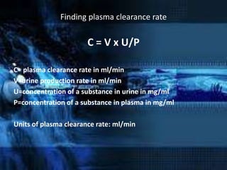 Finding plasma clearance rate

                       C = V x U/P

C= plasma clearance rate in ml/min
V=urine production rate in ml/min
U=concentration of a substance in urine in mg/ml
P=concentration of a substance in plasma in mg/ml

Units of plasma clearance rate: ml/min
 