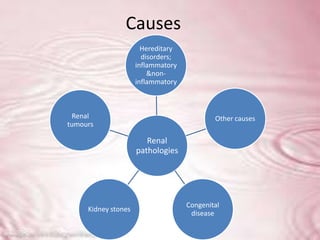 Causes
                       Hereditary
                       disorders;
                     inflammatory
                         &non-
                     inflammatory



 Renal                                      Other causes
tumours

                        Renal
                     pathologies




                                    Congenital
     Kidney stones
                                     disease
 