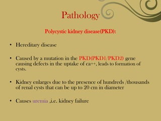 Pathology
                Polycystic kidney disease(PKD):

• Hereditary disease

• Caused by a mutation in the PKD(PKD1/PKD2) gene
  causing defects in the uptake of ca++, leads to formation of
  cysts.

• Kidney enlarges due to the presence of hundreds /thousands
  of renal cysts that can be up to 20 cm in diameter

• Causes uremia ,i.e. kidney failure
 